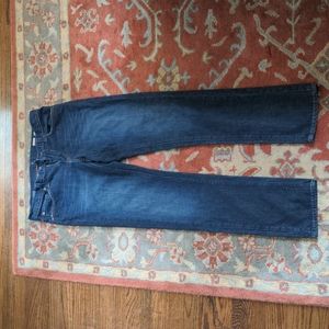 Bluer Denim Slim Straight 31L